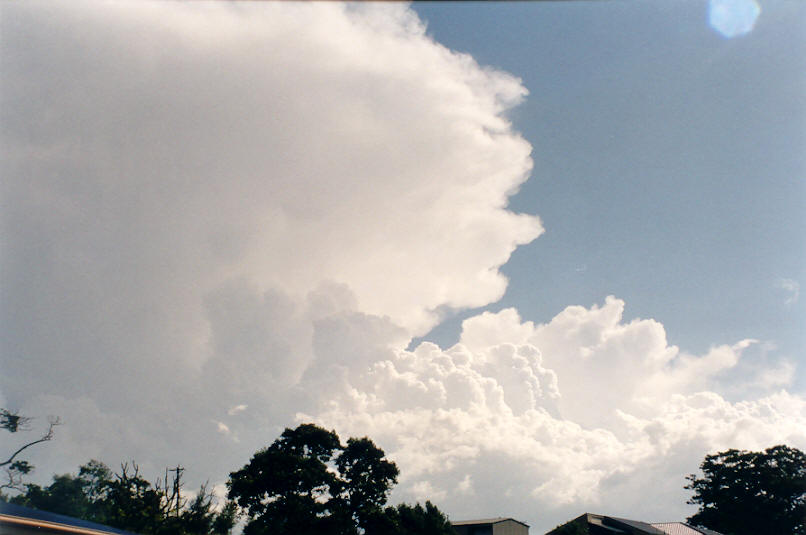 cumulus congestus : McLeans Ridges, NSW   26 March 2002