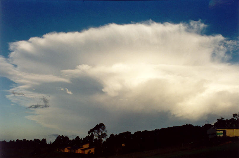 thunderstorm cumulonimbus_incus : McLeans Ridges, NSW   26 March 2002