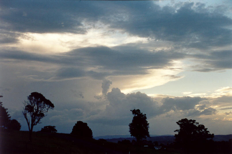 cumulus congestus : McLeans Ridges, NSW   26 March 2002