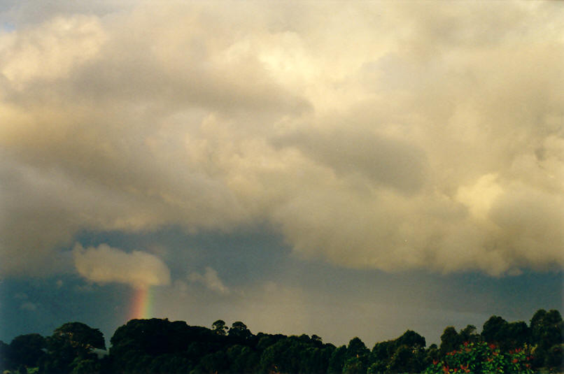rainbow rainbow_pictures : McLeans Ridges, NSW   8 April 2002