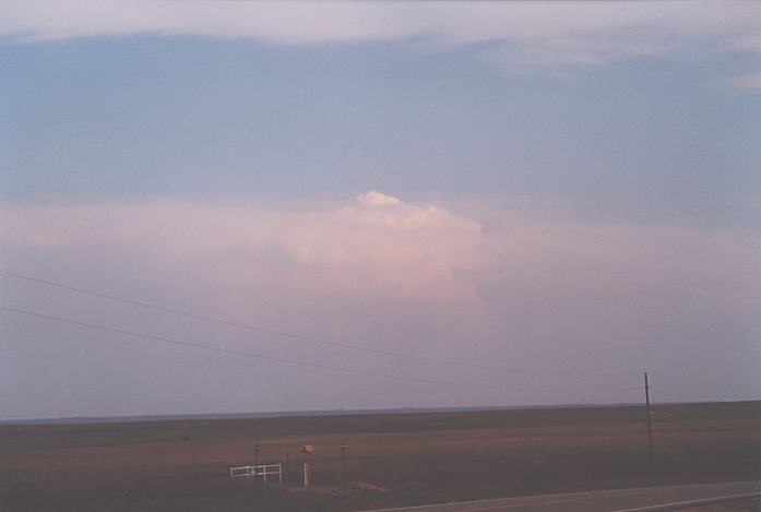 thunderstorm cumulonimbus_incus : S of Booker, NW Texas, USA   16 May 2002