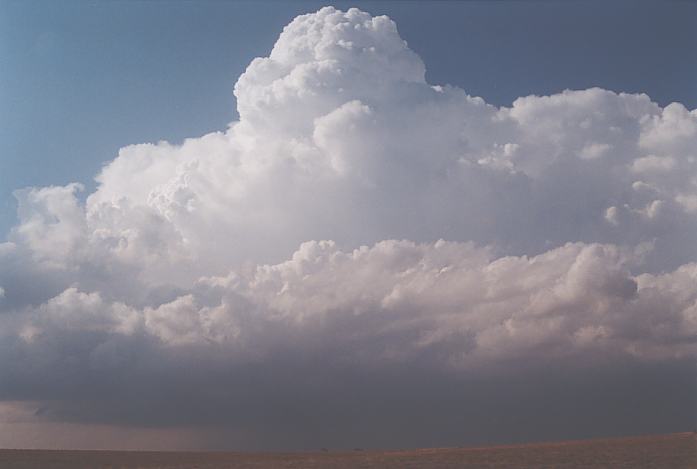 thunderstorm cumulonimbus_calvus : N of Canadian, Texas, USA   23 May 2002