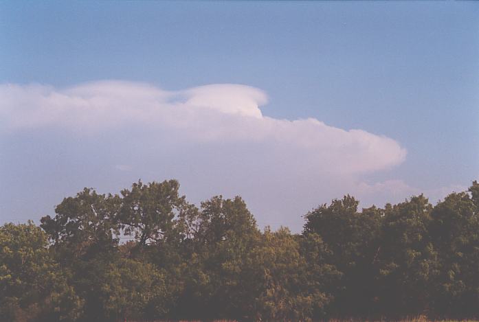 thunderstorm cumulonimbus_incus : San Antonio, Texas, USA   29 May 2002