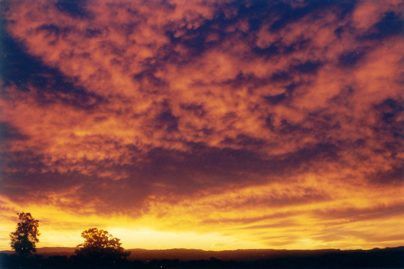 sunset sunset_pictures : McLeans Ridges, NSW   11 June 2002