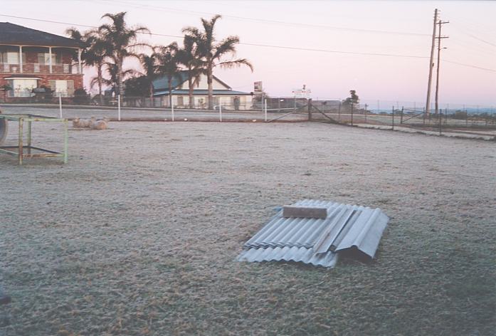 fogmist fog_mist_frost : Schofields, NSW   12 July 2002