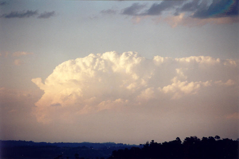 thunderstorm cumulonimbus_incus : McLeans Ridges, NSW   7 September 2002