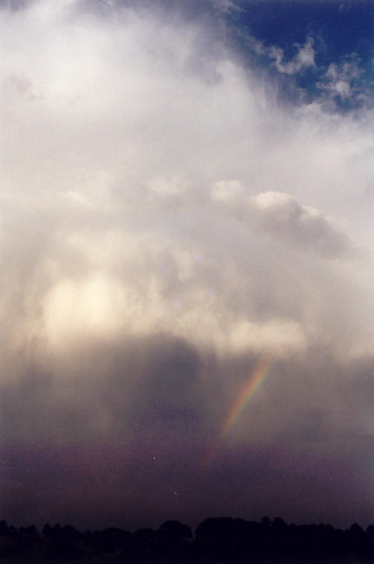 raincascade precipitation_cascade : McLeans Ridges, NSW   26 September 2002