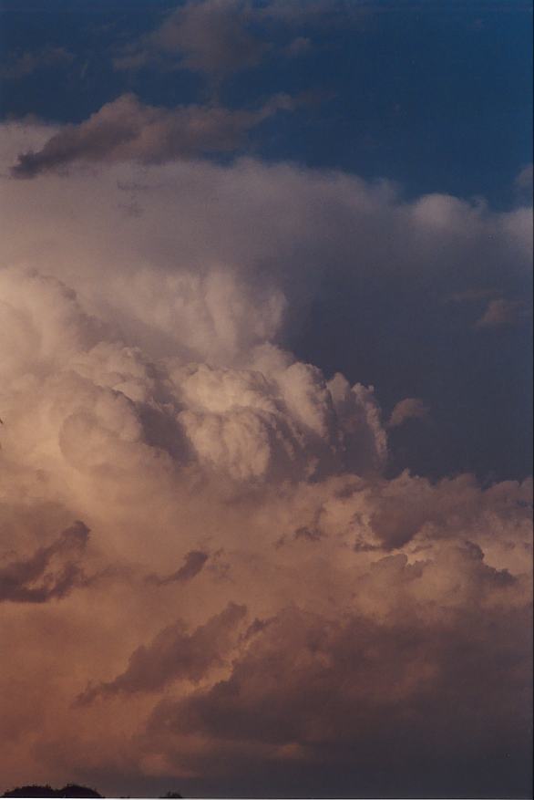 thunderstorm cumulonimbus_incus : Padstow, NSW   5 October 2002