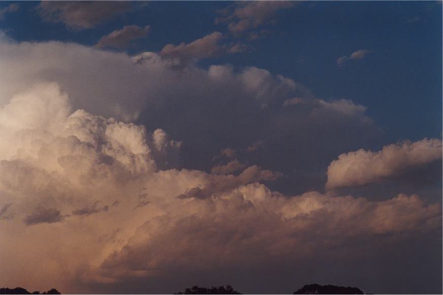 updraft thunderstorm_updrafts : Padstow, NSW   5 October 2002