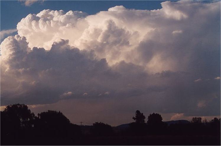 thunderstorm cumulonimbus_incus : Denman, NSW   13 October 2002