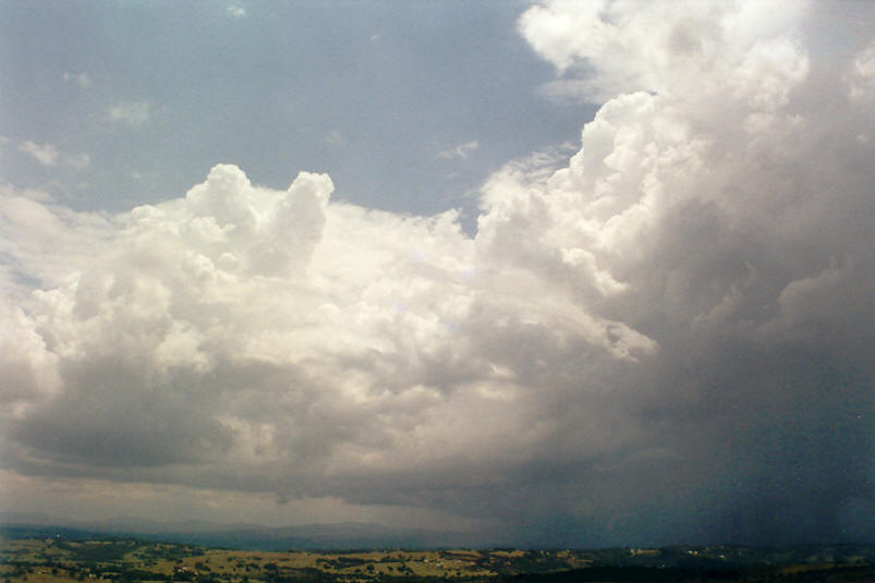 thunderstorm cumulonimbus_calvus : McLeans Ridges, NSW   15 November 2002