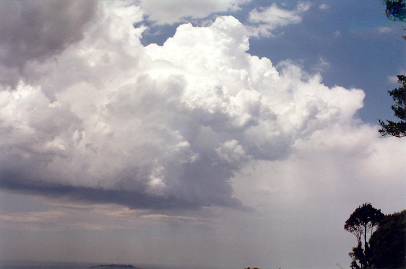 cumulus congestus : Saint Helena, NSW   30 November 2002