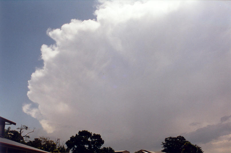 thunderstorm cumulonimbus_incus : McLeans Ridges, NSW   3 December 2002