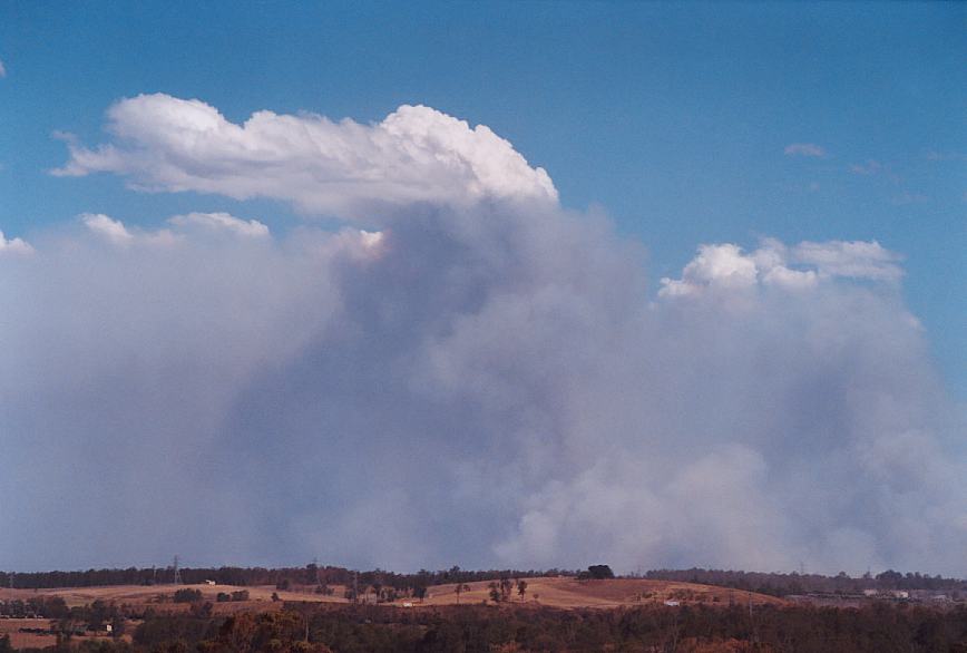 cumulus pyrocumulus : Rooty Hill, NSW   5 December 2002