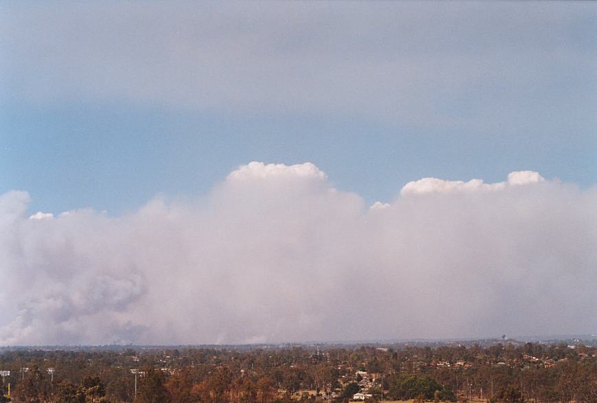 cumulus pyrocumulus : Rooty Hill, NSW   5 December 2002