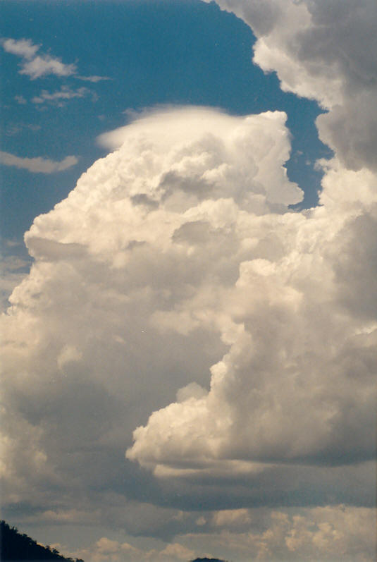 cumulus congestus : NW of Lismore, NSW   15 December 2002
