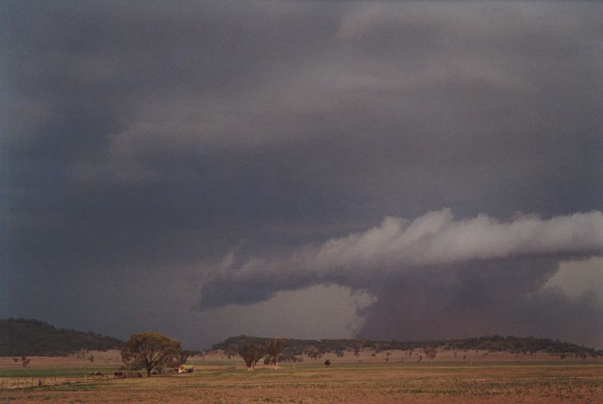 cumulonimbus thunderstorm_base : N of Boggabri, NSW   23 December 2002