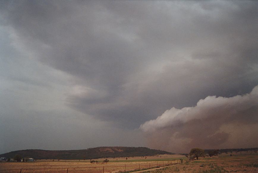 rollcloud roll_cloud : N of Boggabri, NSW   23 December 2002