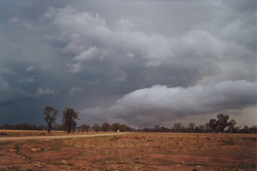 rollcloud roll_cloud : E of Narrabri, NSW   23 December 2002