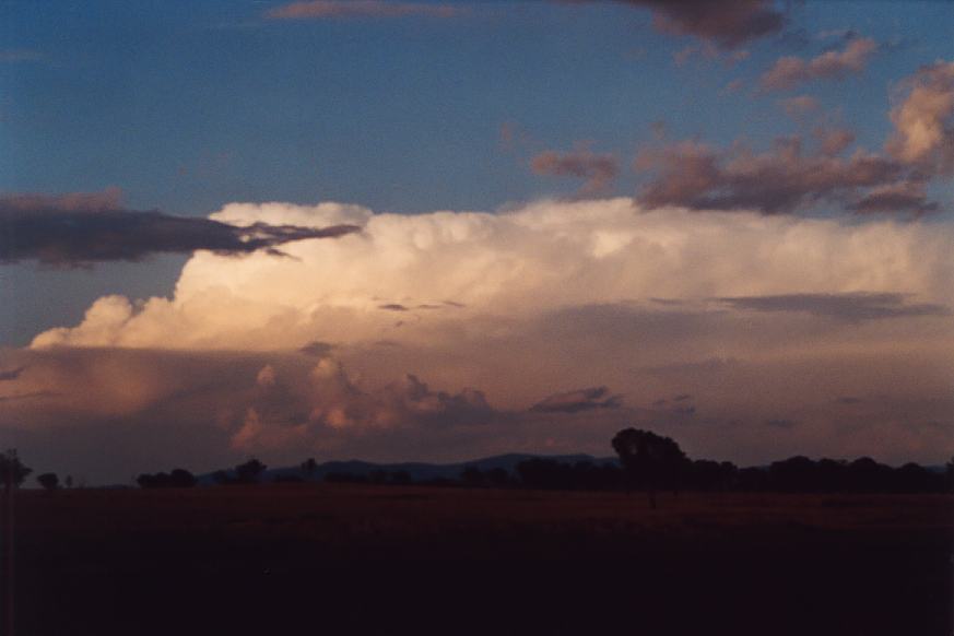 thunderstorm cumulonimbus_incus : Bundara, NSW   24 December 2002