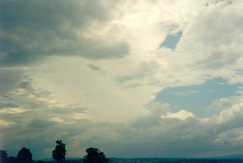 thunderstorm cumulonimbus_incus : McLeans Ridges, NSW   24 December 2002