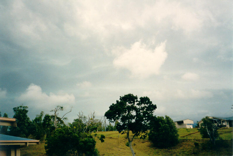 shelfcloud shelf_cloud : McLeans Ridges, NSW   24 December 2002