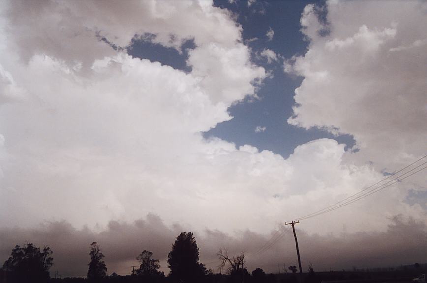 thunderstorm cumulonimbus_incus : Bowral, NSW   8 January 2003