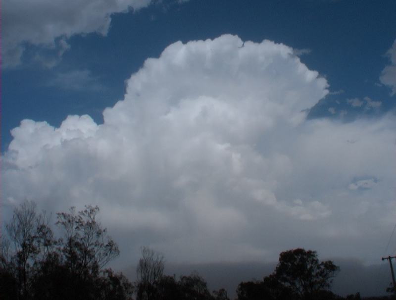 thunderstorm cumulonimbus_incus : N of Bowral, NSW   8 January 2003