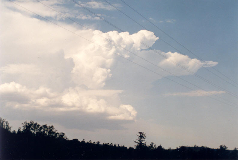 thunderstorm cumulonimbus_incus : Mallanganee NSW   19 January 2003