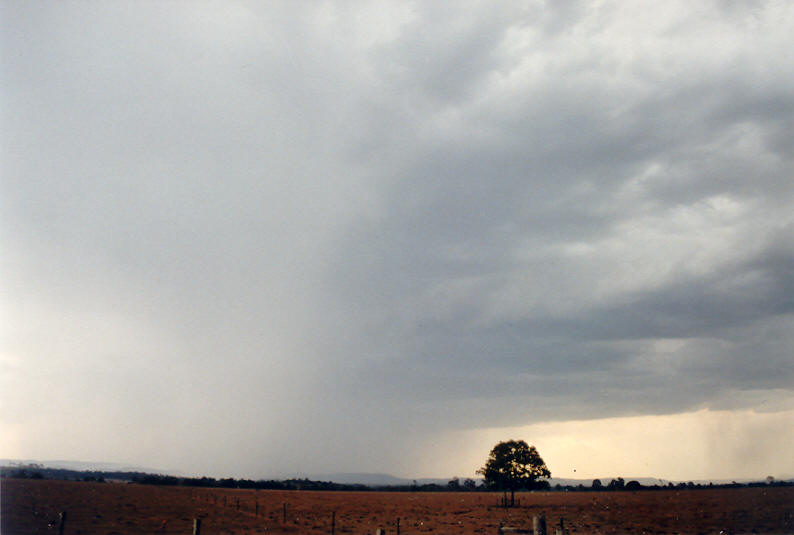 raincascade precipitation_cascade : Kyogle, NSW   19 January 2003