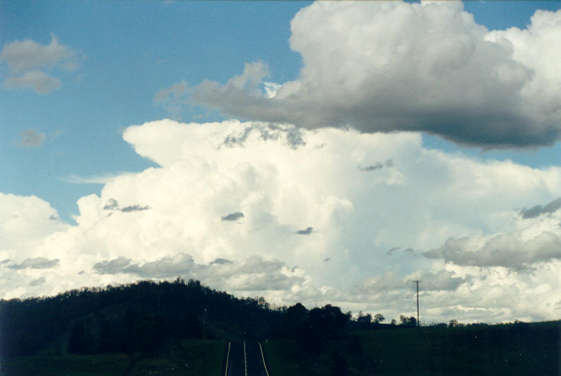 thunderstorm cumulonimbus_incus : Mummulgum, NSW   23 February 2003