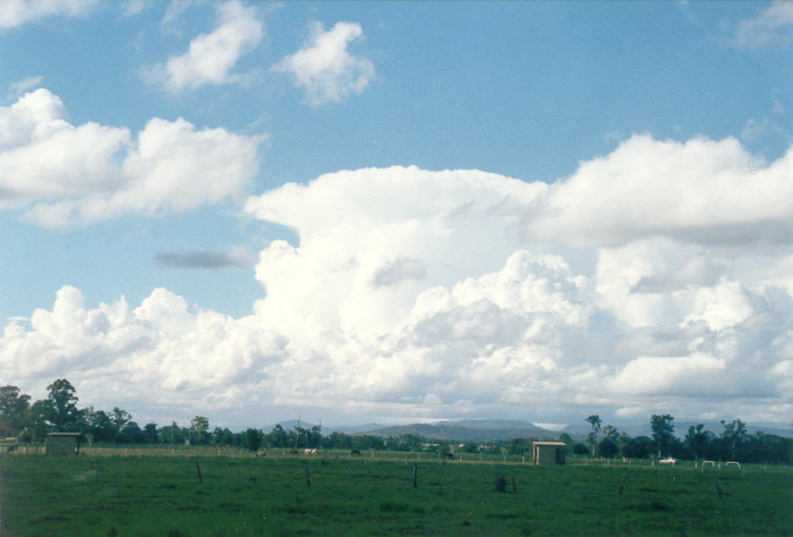 thunderstorm cumulonimbus_incus : near Lismore, NSW   23 February 2003