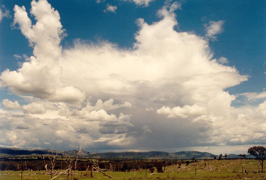 thunderstorm cumulonimbus_incus : Tenterfield, NSW   16 March 2003