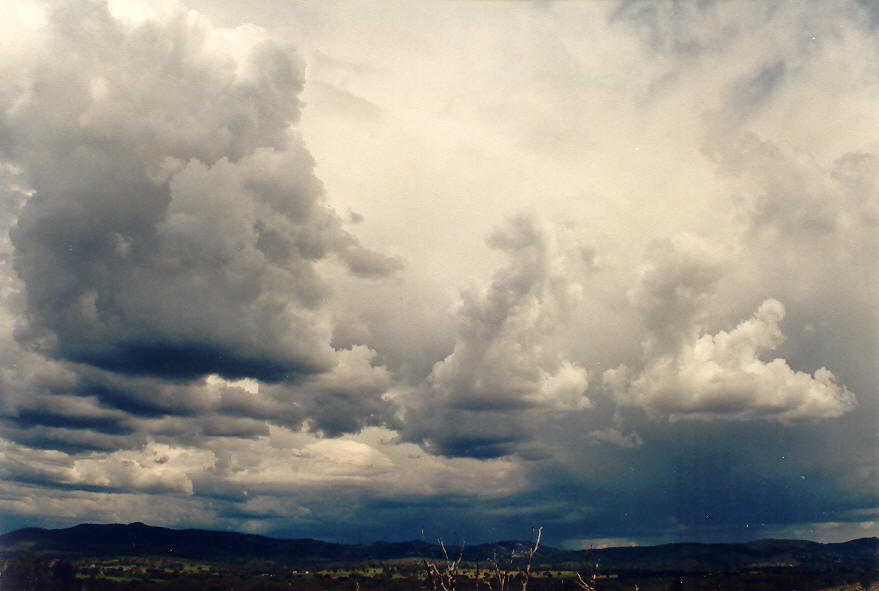 cumulonimbus thunderstorm_base : Tenterfield, NSW   16 March 2003