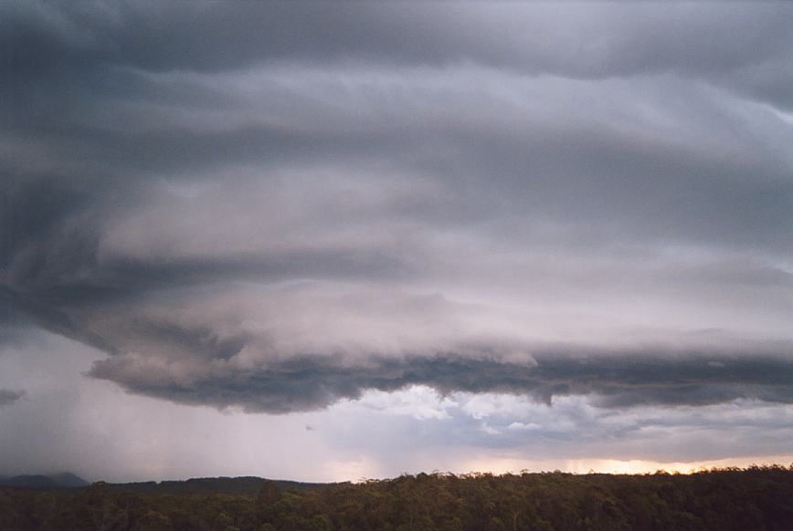 cumulonimbus thunderstorm_base : N of Karuah, NSW   20 March 2003
