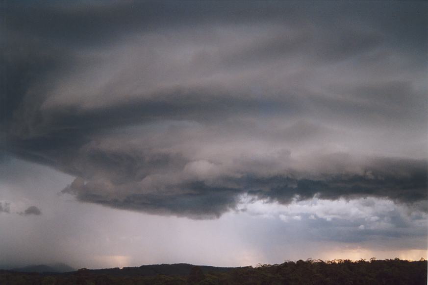 cumulonimbus supercell_thunderstorm : N of Karuah, NSW   20 March 2003