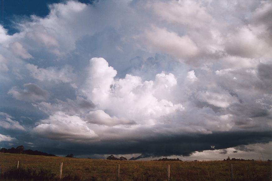 thunderstorm cumulonimbus_incus : Ulong, NSW   21 March 2003