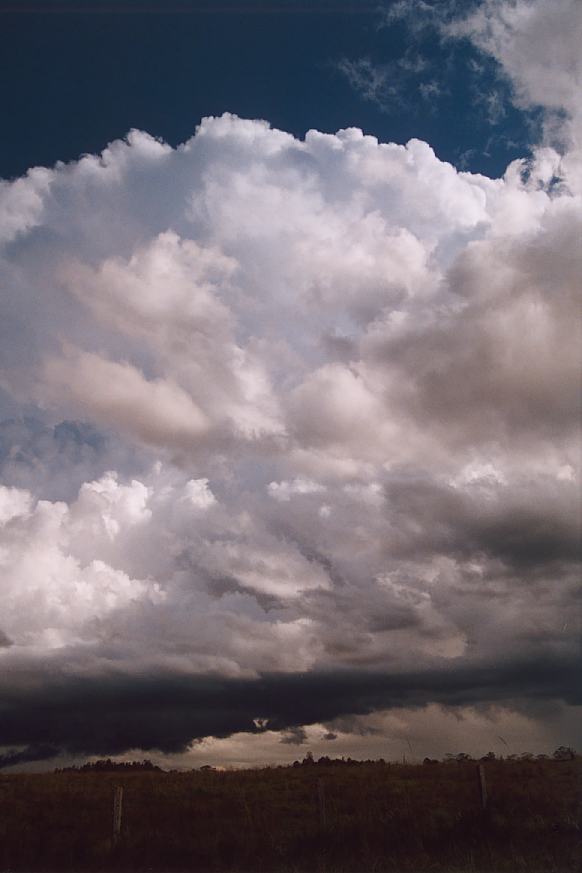 thunderstorm cumulonimbus_incus : Ulong, NSW   21 March 2003