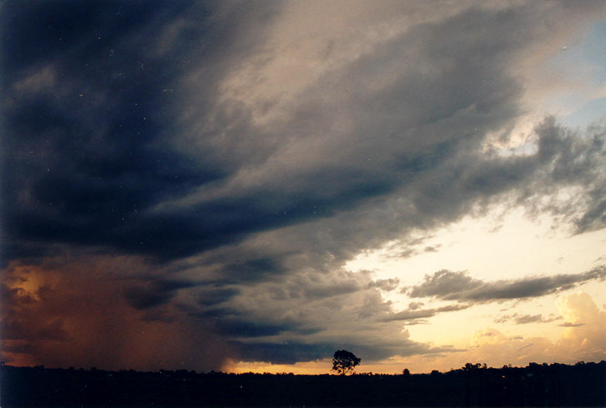 raincascade precipitation_cascade : Coraki, NSW   22 March 2003