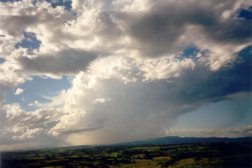 thunderstorm cumulonimbus_incus : McLeans Ridges, NSW   22 March 2003