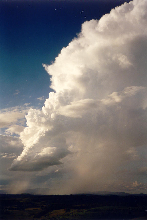 updraft thunderstorm_updrafts : McLeans Ridges, NSW   22 March 2003