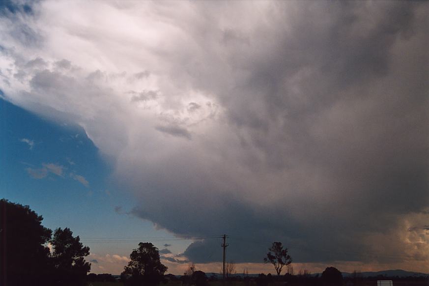 thunderstorm cumulonimbus_incus : Taree, NSW   30 March 2003