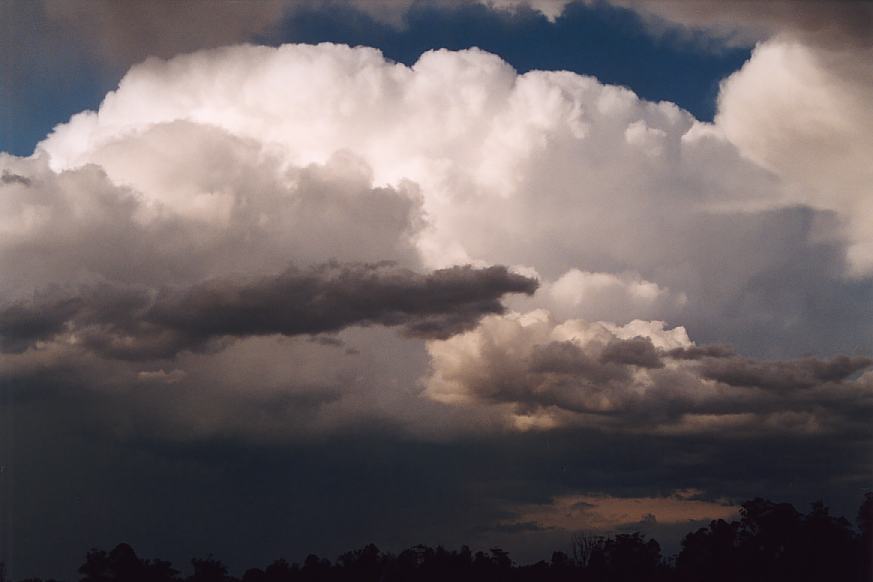 thunderstorm cumulonimbus_incus : Scotts Head, NSW   30 March 2003