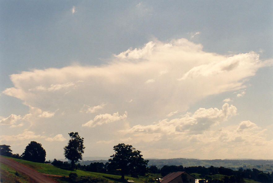 thunderstorm cumulonimbus_incus : McLeans Ridges, NSW   30 March 2003