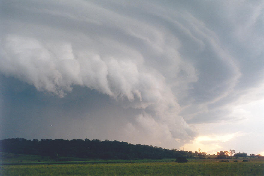cumulonimbus thunderstorm_base : near Coraki, NSW   30 March 2003