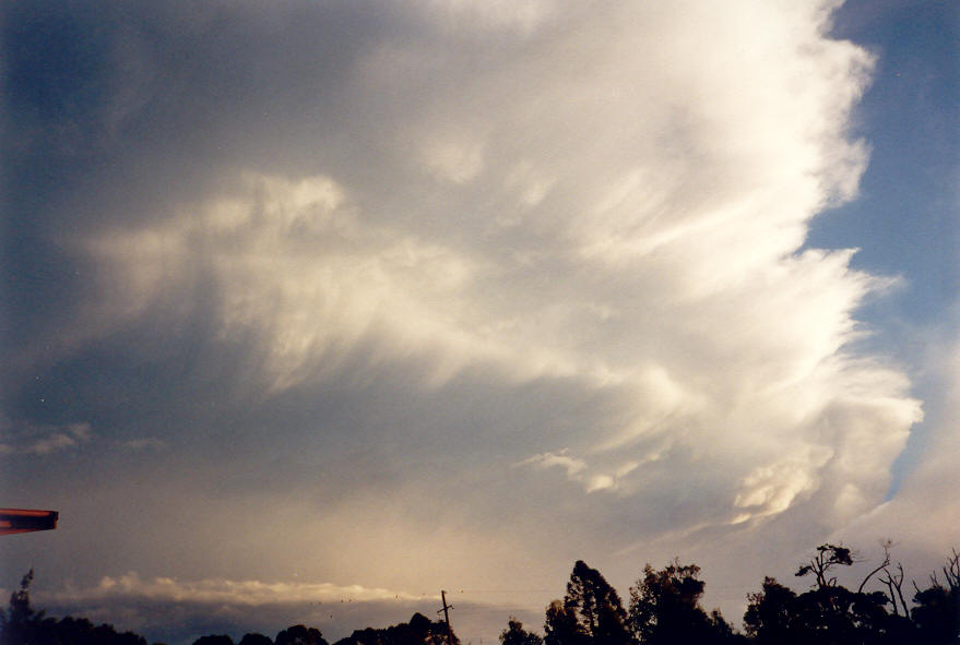 cumulonimbus supercell_thunderstorm : McLeans Ridges, NSW   30 March 2003
