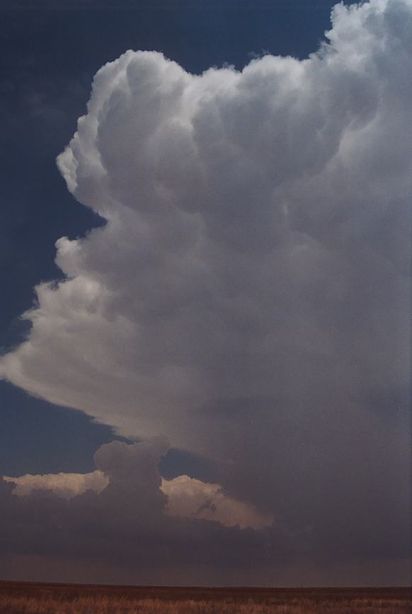 anvil thunderstorm_anvils : Earth, Texas, USA   3 June 2003