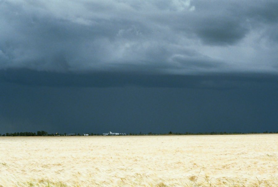 contributions received : Moree, NSW<BR>Photo by Brett Vilnis   2 October 2003