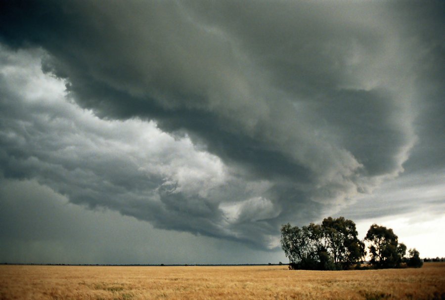 contributions received : Moree, NSW<BR>Photo by Brett Vilnis   2 October 2003