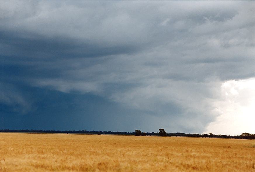 shelfcloud shelf_cloud : Moree, NSW   2 October 2003